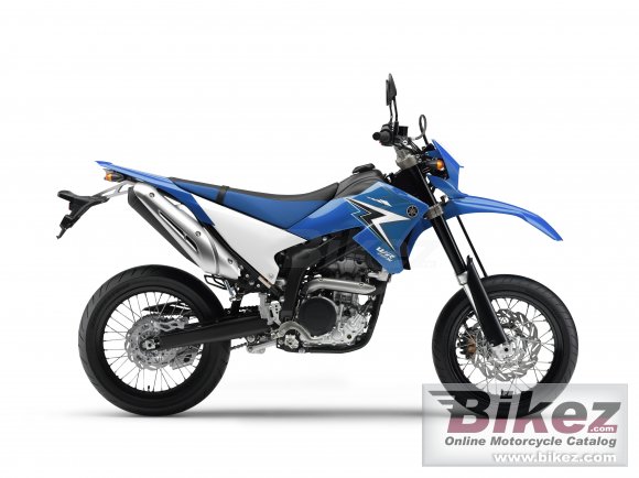 2010 Yamaha WR250X photo